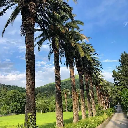Relax Zone Appartement